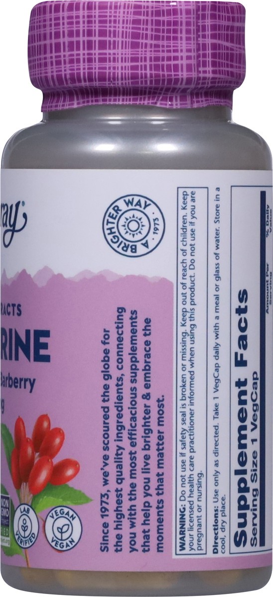 slide 3 of 13, Solaray 500 mg Berberine from Indian Berberine 60 Vegcaps, 1 ct