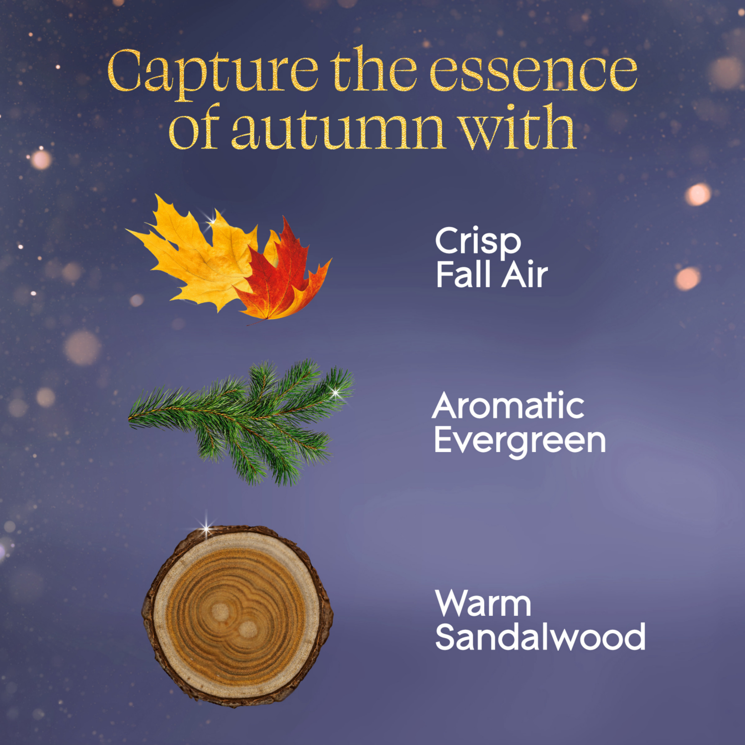 slide 5 of 8, Glade PlugIns Refills Air Freshener, Embers & Sandalwood, 1.34oz., 2 count, 2 ct