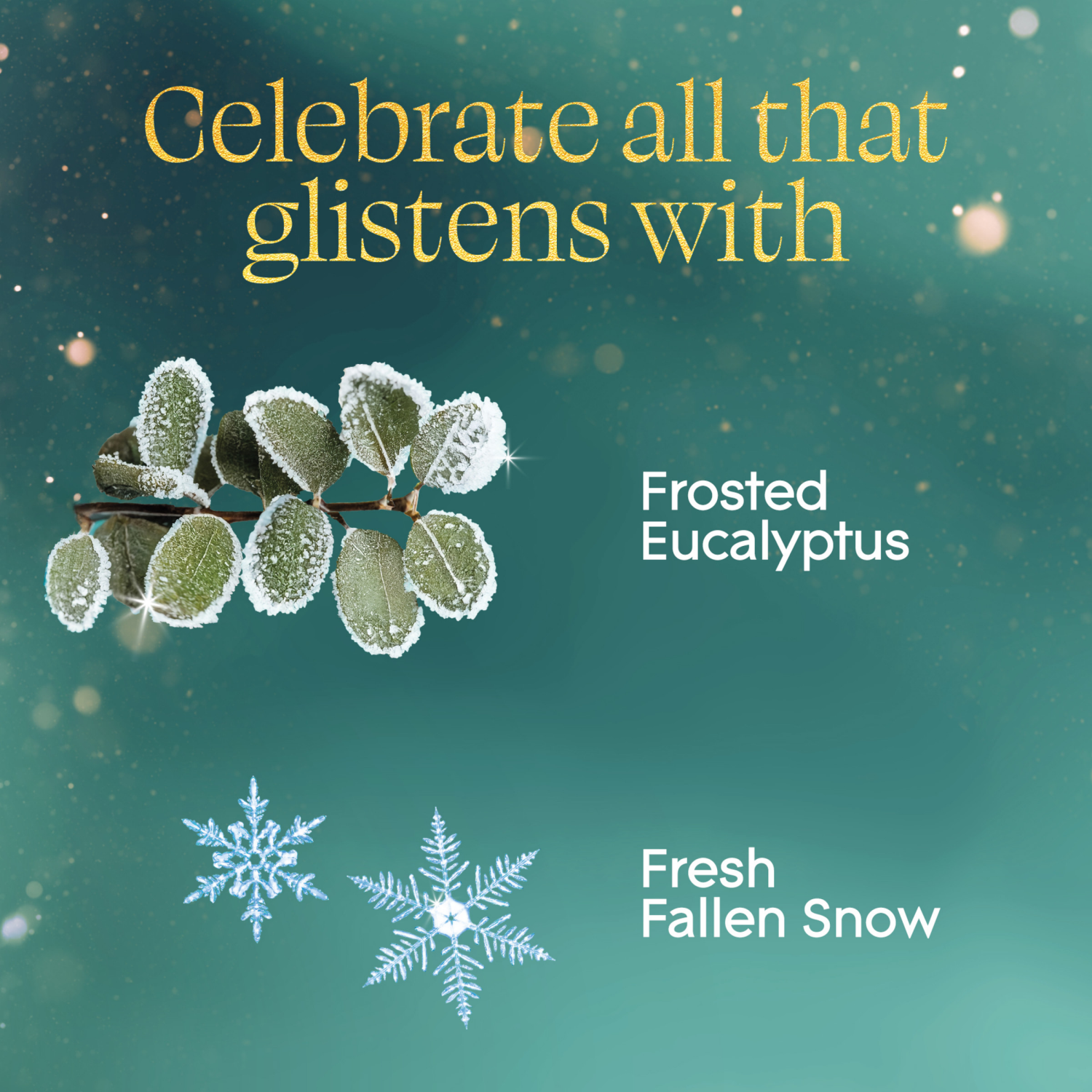 slide 5 of 8, Glade Rfl Eucalyptus Plug, 1 oz