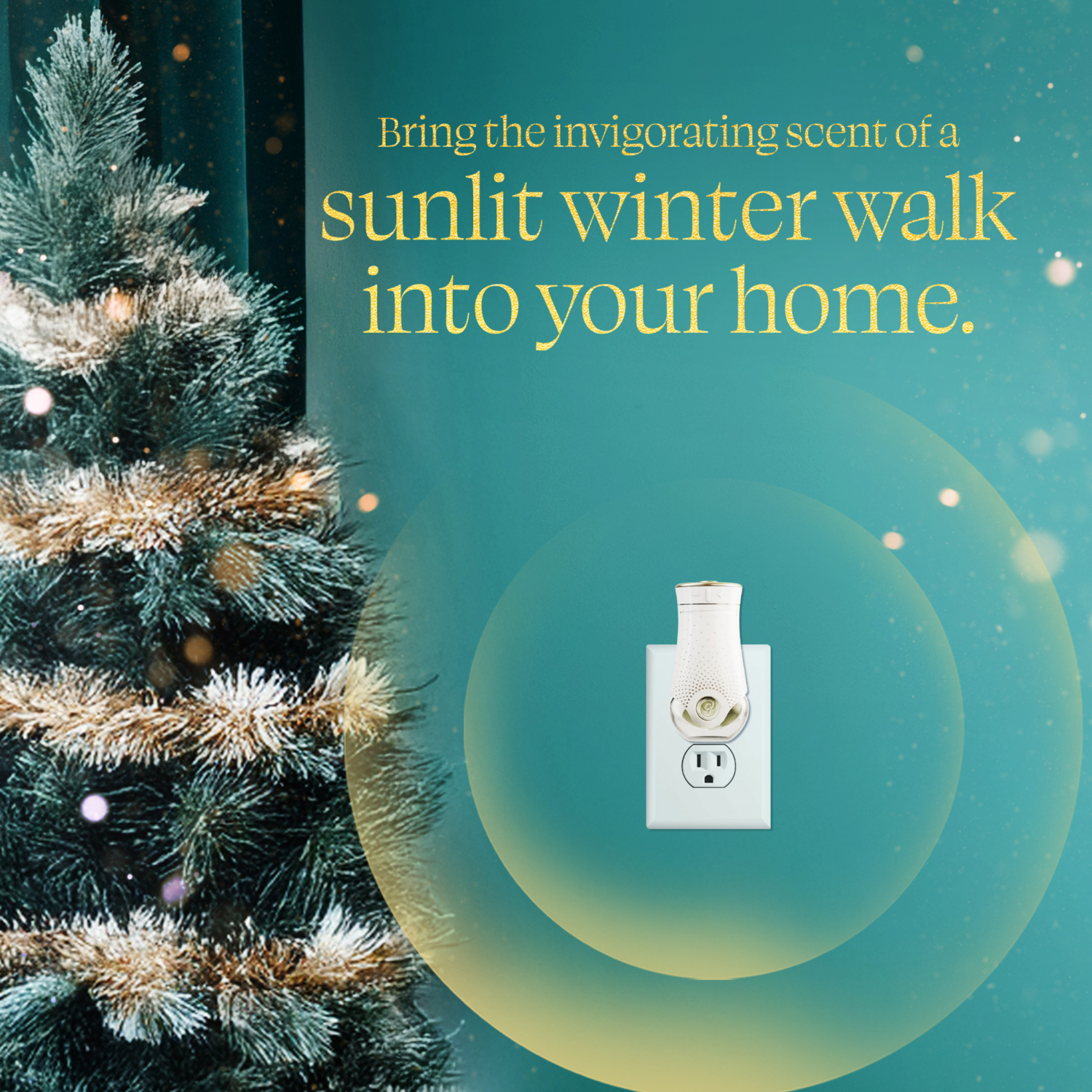 slide 6 of 8, Glade Rfl Eucalyptus Plug, 1 oz