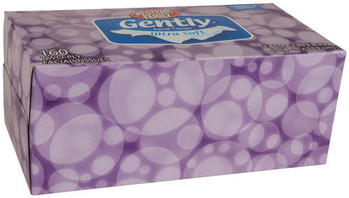 slide 1 of 1, Western Family Facial Tissue Wht 2 Ply Gen, 160 ct