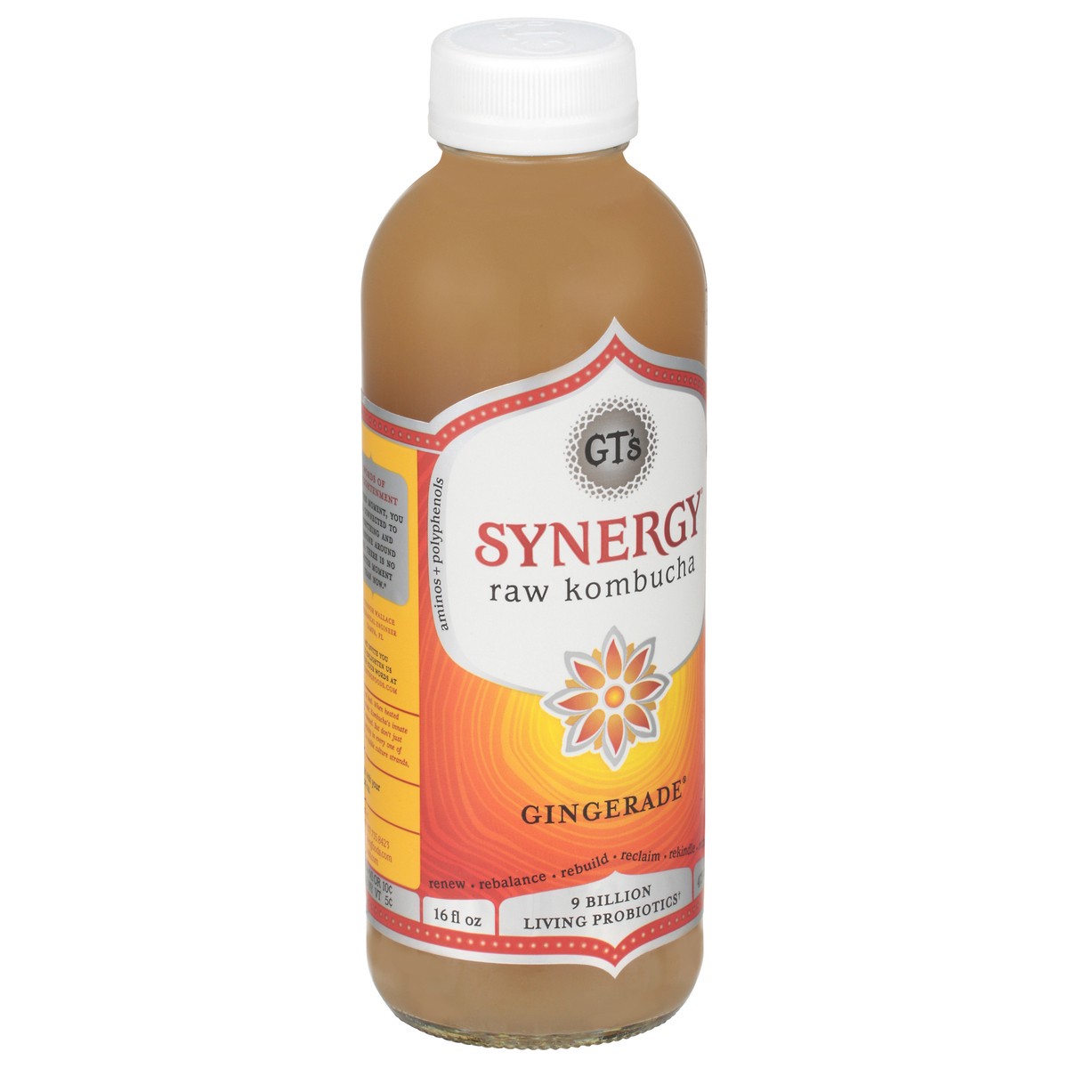 slide 2 of 9, GT's Synergy® organic kombucha, Gingerade®, 16 fl oz