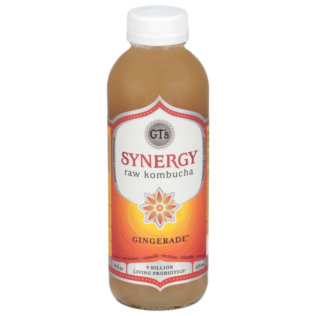 slide 1 of 9, GT's Synergy® organic kombucha, Gingerade®, 16 fl oz