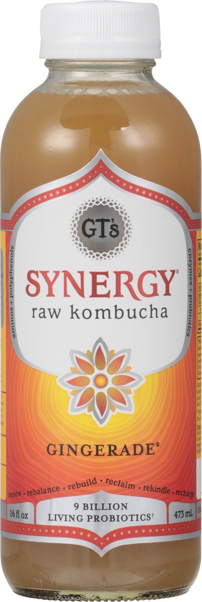 slide 1 of 9, GT's Synergy® organic kombucha, Gingerade® - 16 fl oz, 16 fl oz