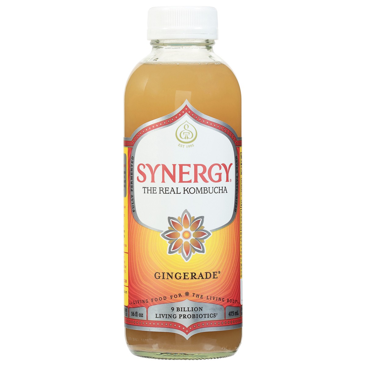 slide 1 of 9, GT's Gingerade Kombucha 16 fl oz, 16 fl oz