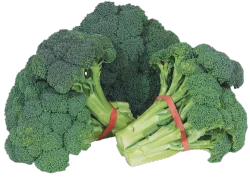 Organic Broccoli Baby