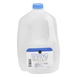 Publix Spring Water - 1 gal