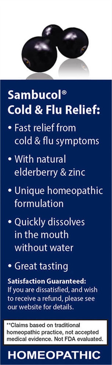 slide 6 of 10, Sambucol Homeopathic Elderberry Cold & Flu Symptom Relief Tablets, 60 ct