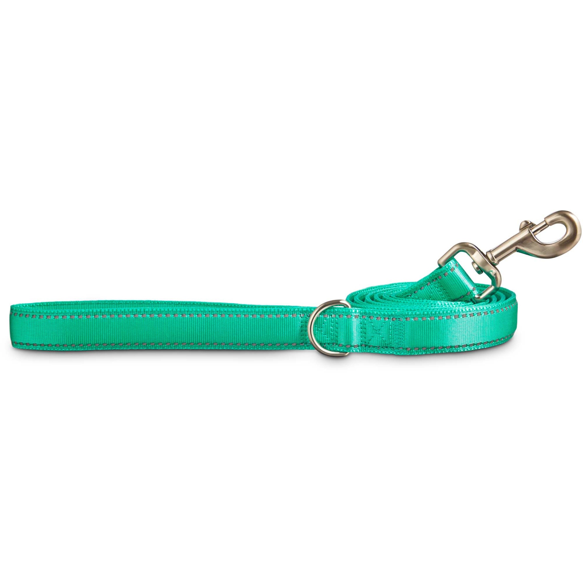 slide 1 of 1, Good2Go Reflective Padded Leash in Turquoise, 1 ct