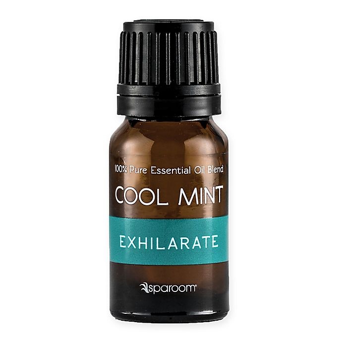 slide 1 of 2, SpaRoom Cool Mint Essential Oil, 10 ml