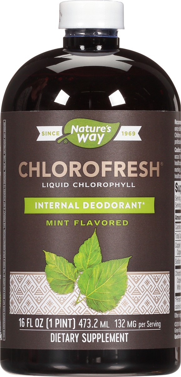 slide 5 of 9, Nature's Way Chlorofresh Liquid Chlorophyll, Supports Healthy Skin & Body Detox*, Internal Deodorant*, Mint Flavored, 16 Oz, 16 fl oz