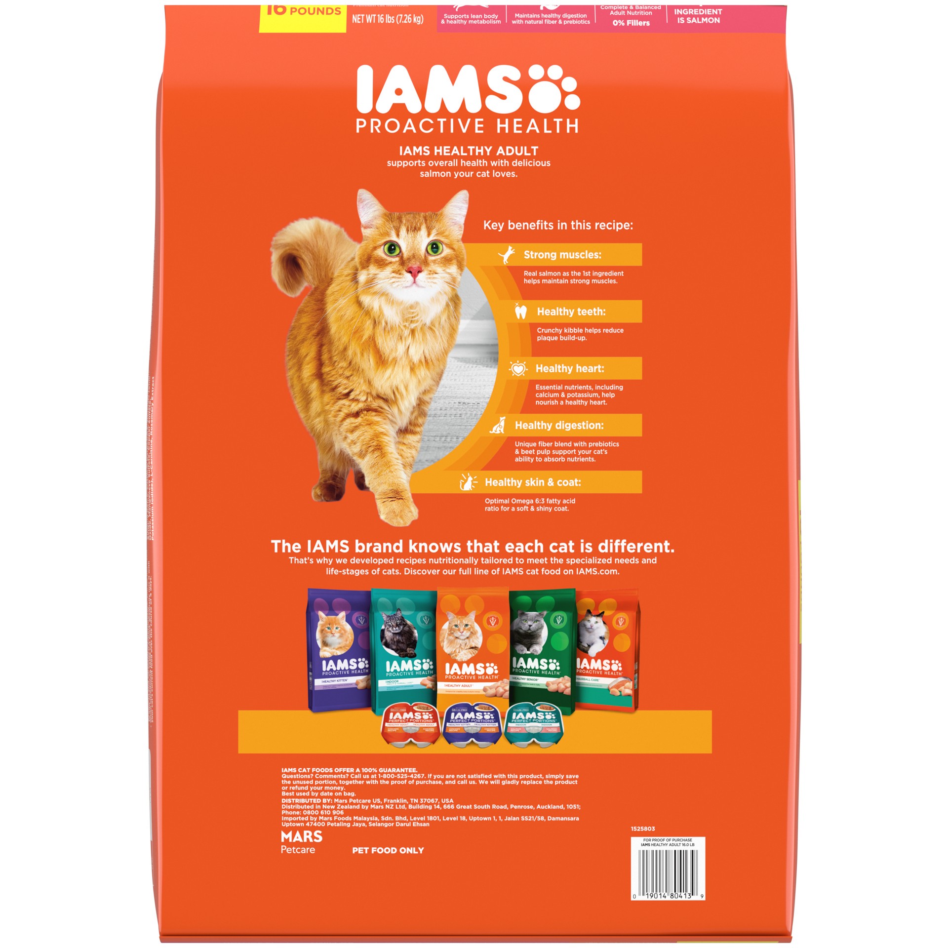 slide 2 of 5, IAMS PROACTIVE HEALTH Adult Healthy Dry Cat Food with Salmon Cat Kibble, 16 lb. Bag, 16 lb