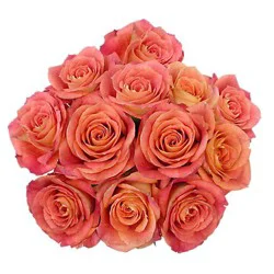 Roses Premium Ecuadorian 50/50