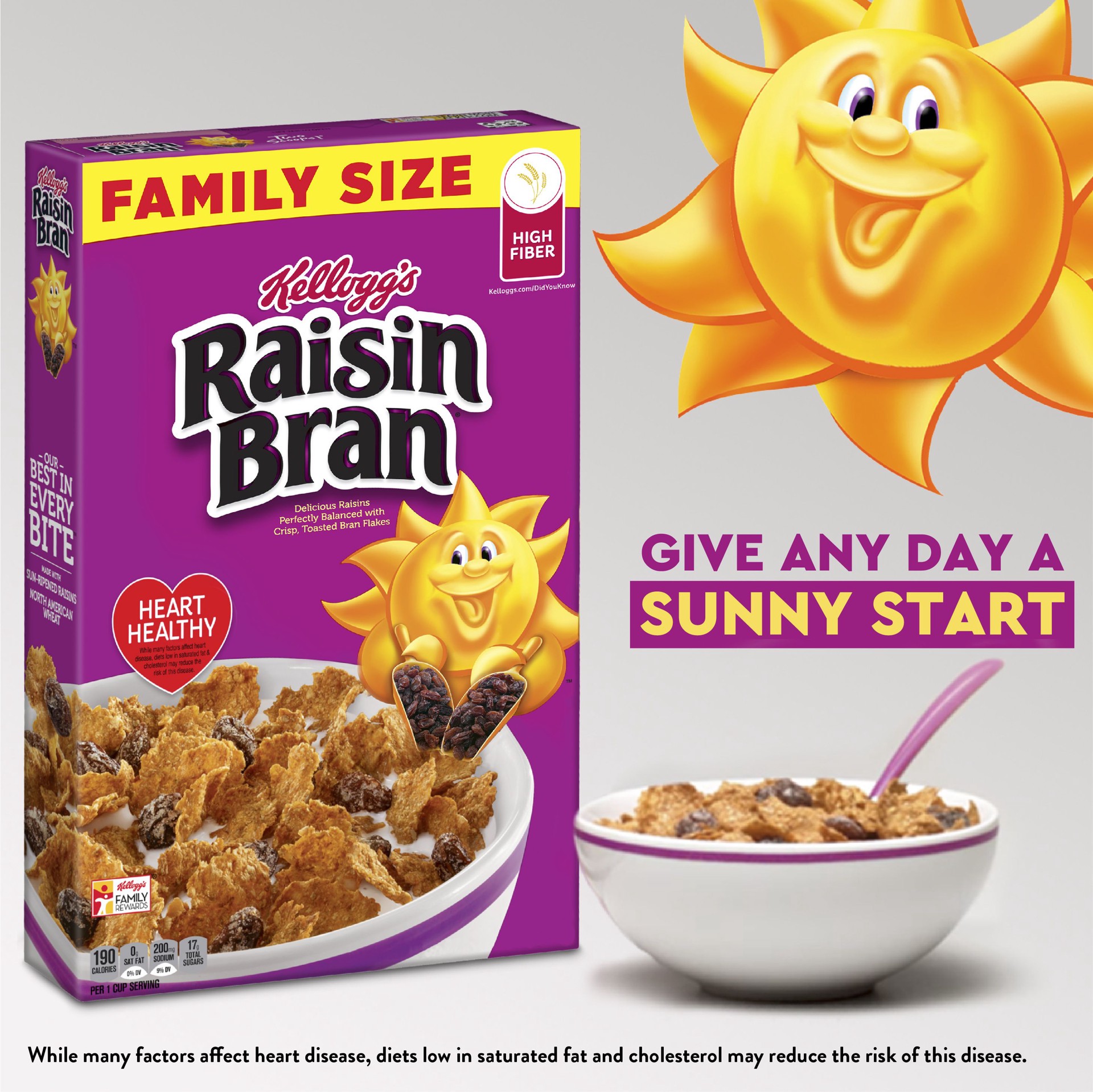 slide 2 of 5, Kellogg's Raisin Bran Breakfast Cereal, High Fiber Cereal, Made with Real Fruit, Original, 24 oz