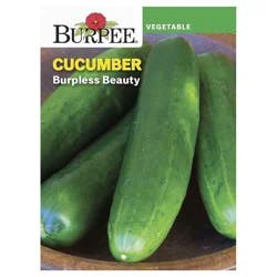 Burpee Burpless Beauty Cucumber