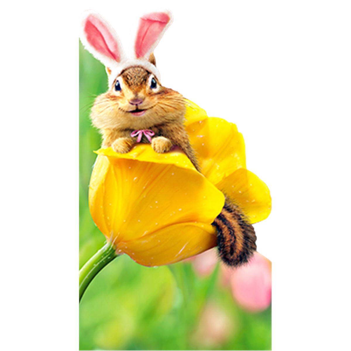 slide 1 of 1, Avanti Chipmunk Bunny In Tulip, 1 ct