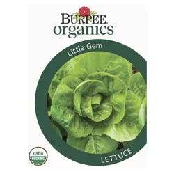 Burpee Organic Lettuce, Little Gem