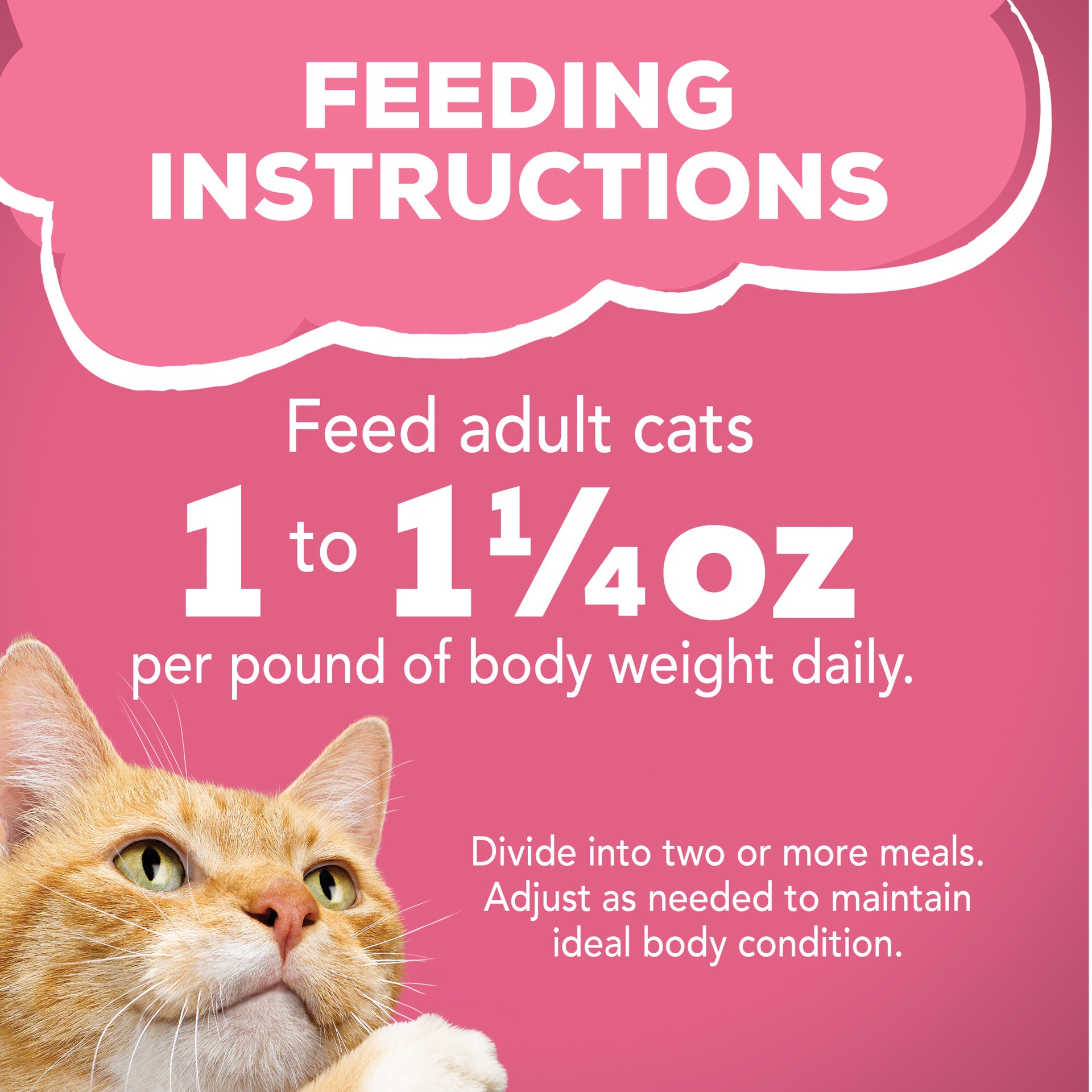 slide 3 of 8, Friskies Purina Friskies Wet Cat Food Variety Pack, Surfin' & Turfin' Prime Filets Favorites, 40 ct; 5.5 oz