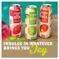 slide 7 of 25, RITAS Lime-A-Rita Sparkling Margarita, 25 FL OZ Can, 25 oz