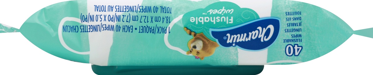 slide 2 of 5, Charmin Wipes 1 ea, 1 ct