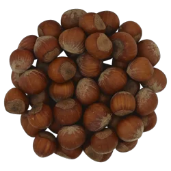 Chestnuts In-shell Italian