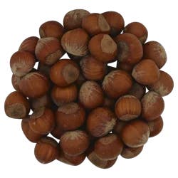 Chestnuts In-shell Italian