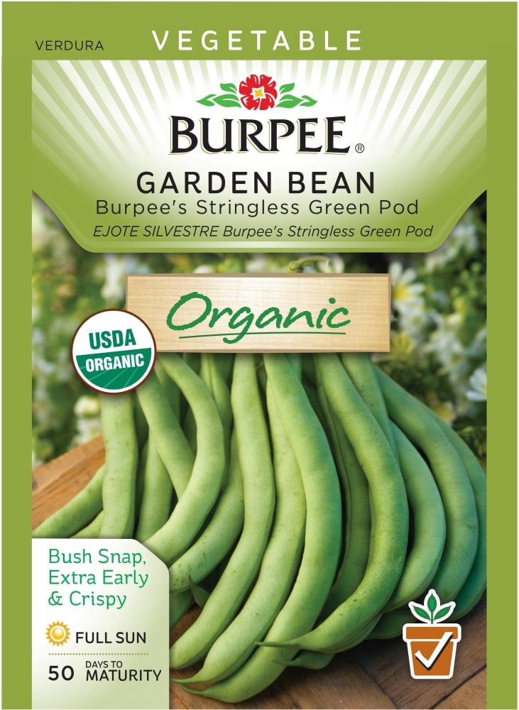 slide 1 of 1, Burpee Organic Stringless Green Pod Garden Bean Seeds, 1 ct