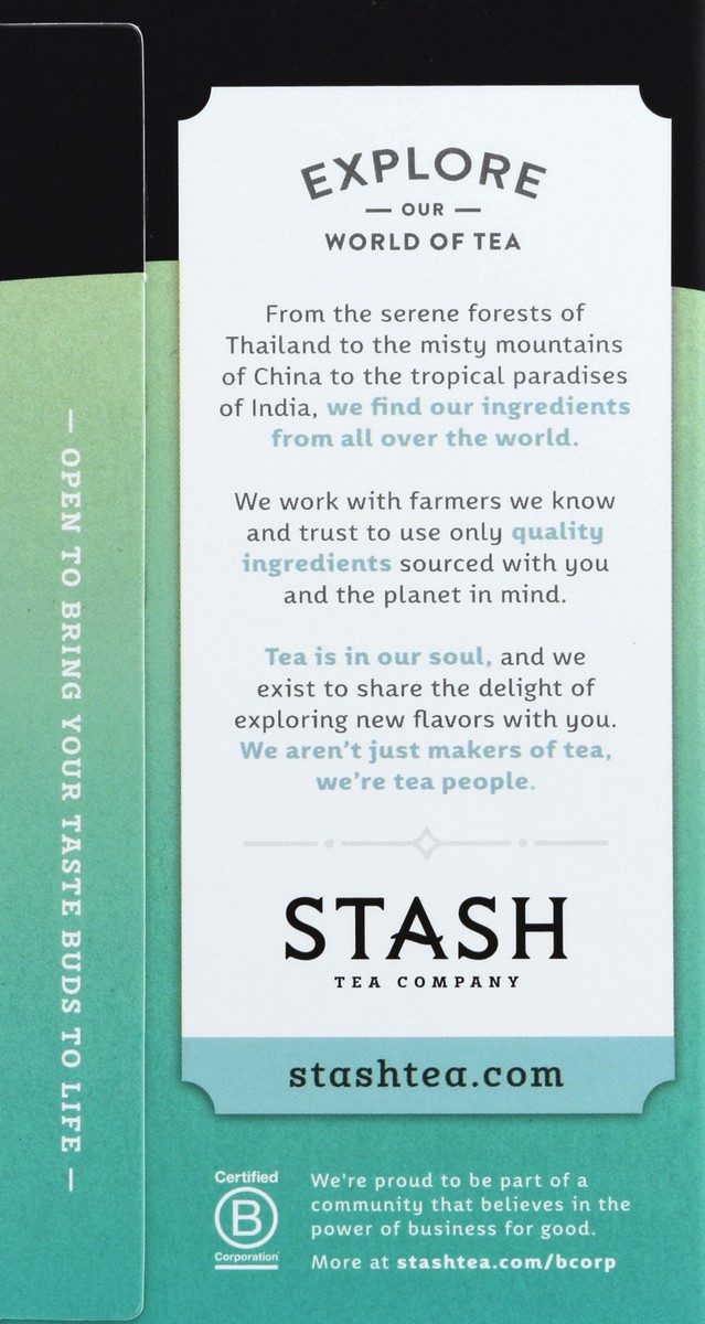 slide 3 of 6, Stash Green Tea Bags, Moroccan Mint - 20 ct, 20 ct