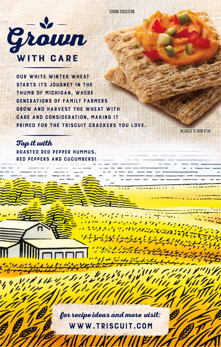 slide 5 of 9, Triscuit Tzatziki Whole Grain Wheat Crackers, 8.5 oz, 8.5 oz