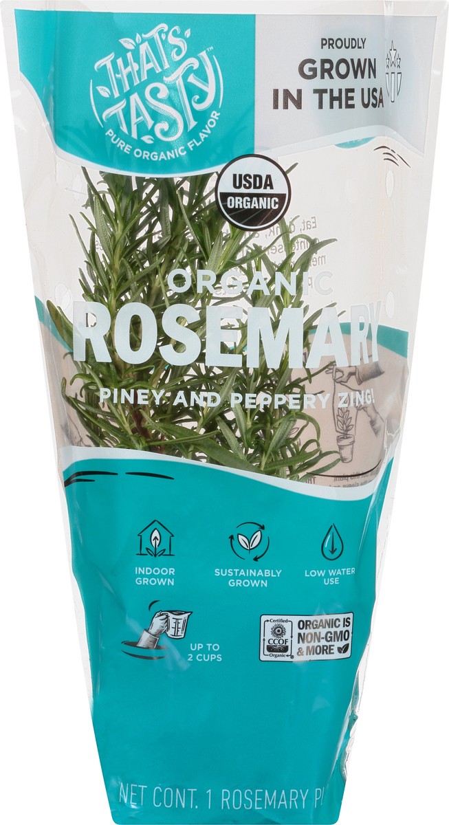 slide 1 of 11, That's Tasty Living Organic Rosemary, 1 ct