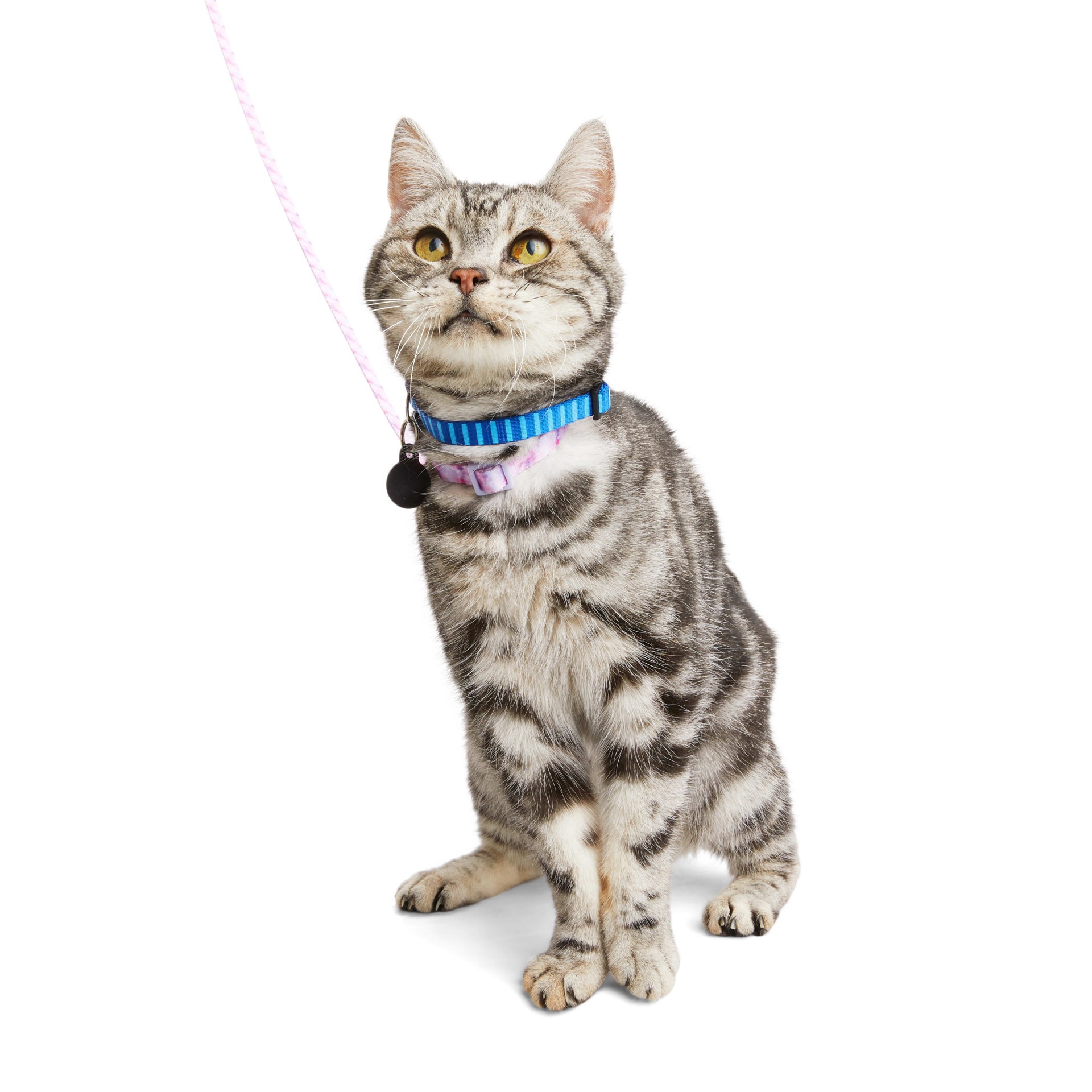 slide 1 of 1, YOULY Galaxy Kitten Harness & Lead, 1 ct