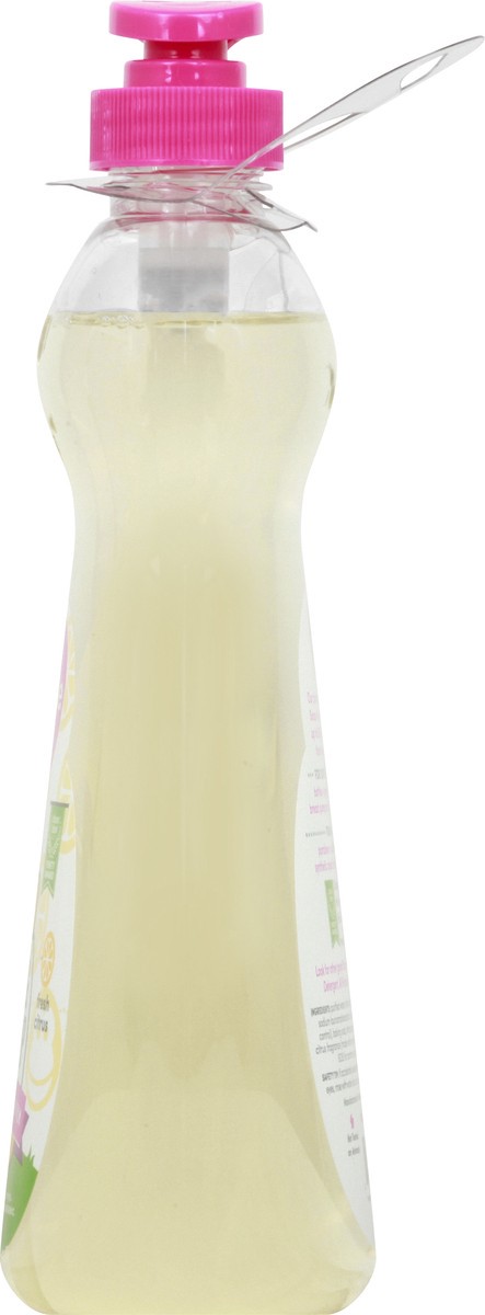 slide 7 of 11, Dapple Baby Fresh Citrus Bottle & Dish Soap 16.9 oz, 16.9 oz