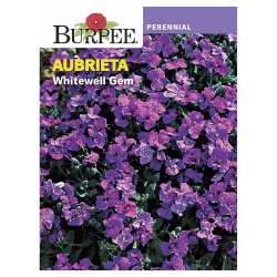 Burpee Whitewell Gem Aubrieta Seeds, 1 Count