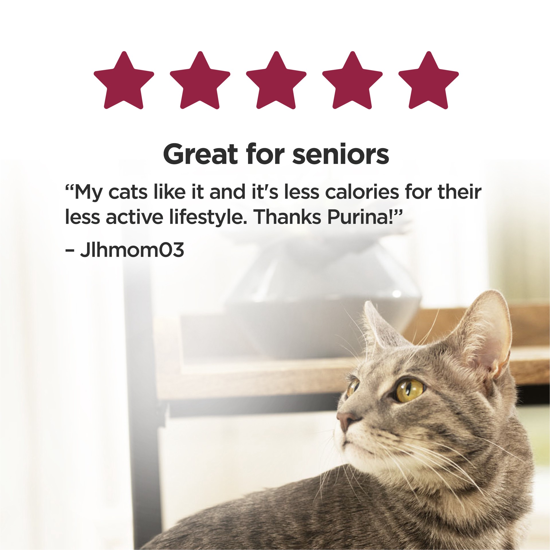 slide 4 of 8, Cat Chow Purina Cat Chow Joint Health Senior Dry Cat Food, Essentials 7+ Immune + Joint Health Recipe - 3.15 lb. Bag, 50.4 oz