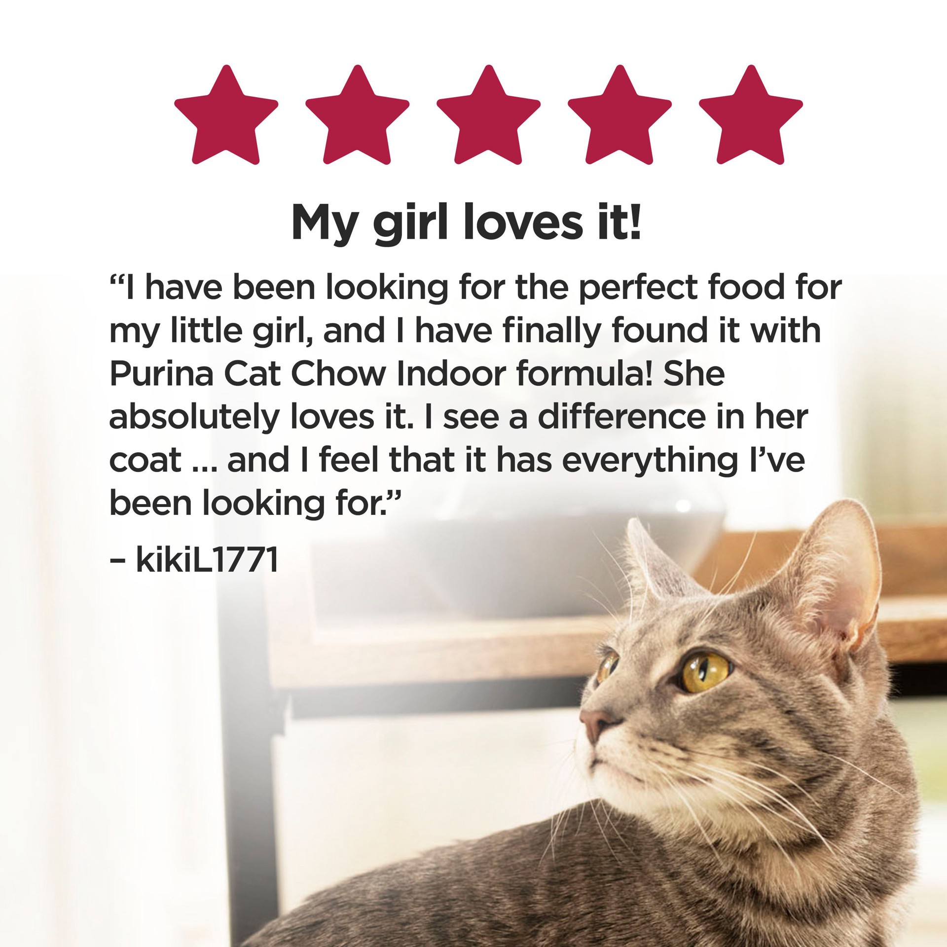 slide 6 of 8, Cat Chow Purina Cat Chow Joint Health Senior Dry Cat Food, Essentials 7+ Immune + Joint Health Recipe - 3.15 lb. Bag, 50.4 oz