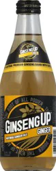Ginseng Up Bottle Ginger - 12 fl oz