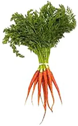 Baby Purple Carrots Melissas