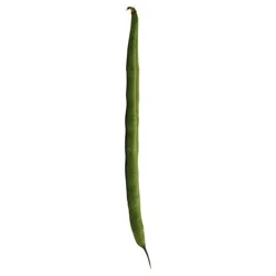 Green Beans