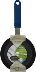 Ecolution Fry Pan 1 ea