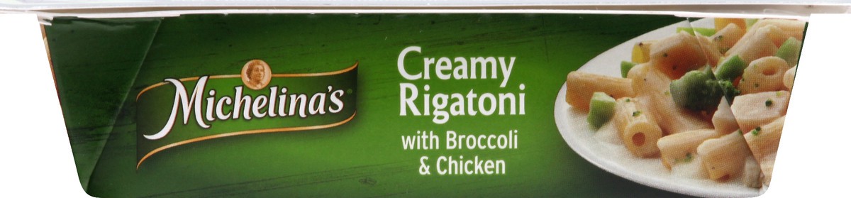 slide 2 of 9, Michelina's Creamy Rigatoni, 8 oz