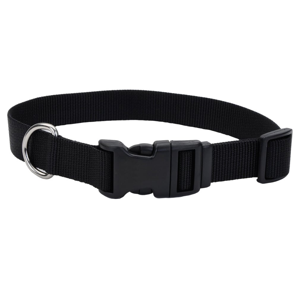 slide 3 of 4, Alliance Black Medium Dog Collar, 1 ct