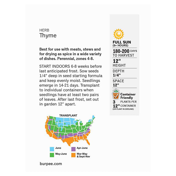 slide 4 of 5, Burpee Common Thyme Seeds, 1 ct