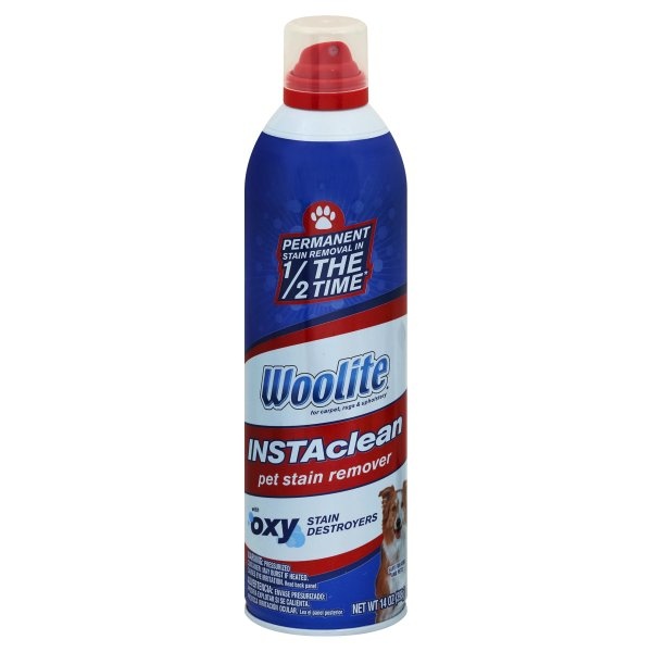 slide 1 of 1, Woolite Instant Clean Pet Stain, 1 ct