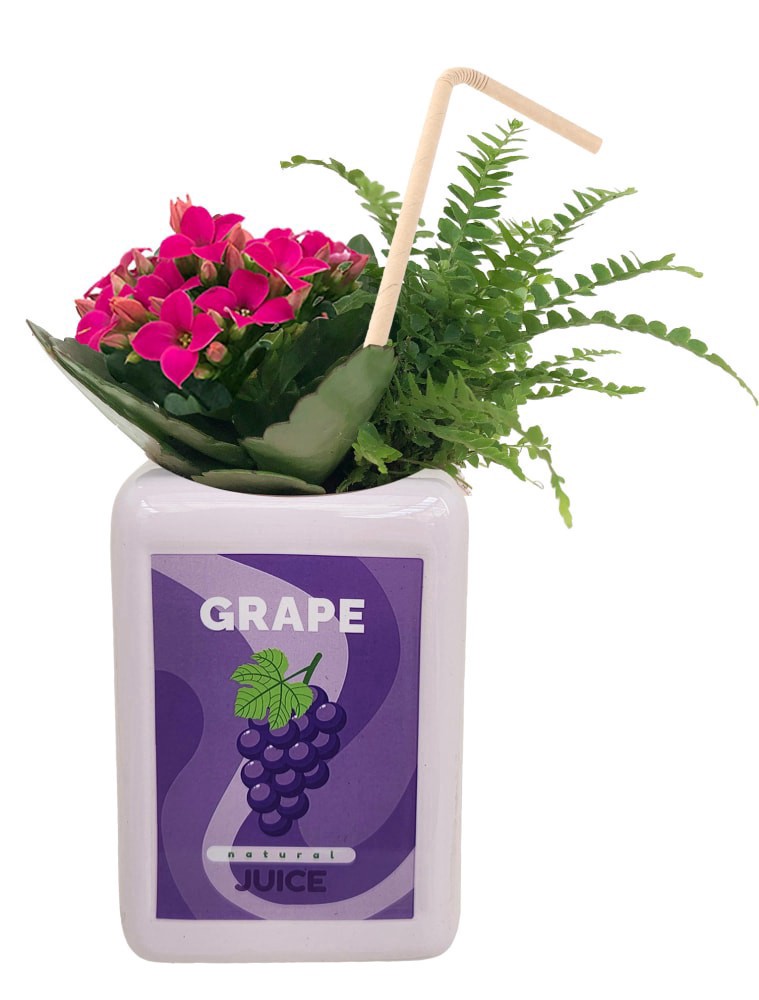 slide 1 of 1, Garden In Unique Juice Box Theme Ceramic, 5 in