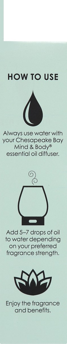 slide 7 of 9, Chesapeake Bay Candle Chesapeake Bay Essentl Oil Inhale, 0.33 fl oz