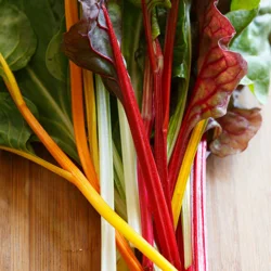 Bonnie Plants Organic Swiss Chard, 19.3 oz