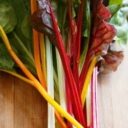 Bonnie Plants Organic Swiss Chard, 19.3 oz