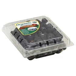 Fresh Organic Blueberries