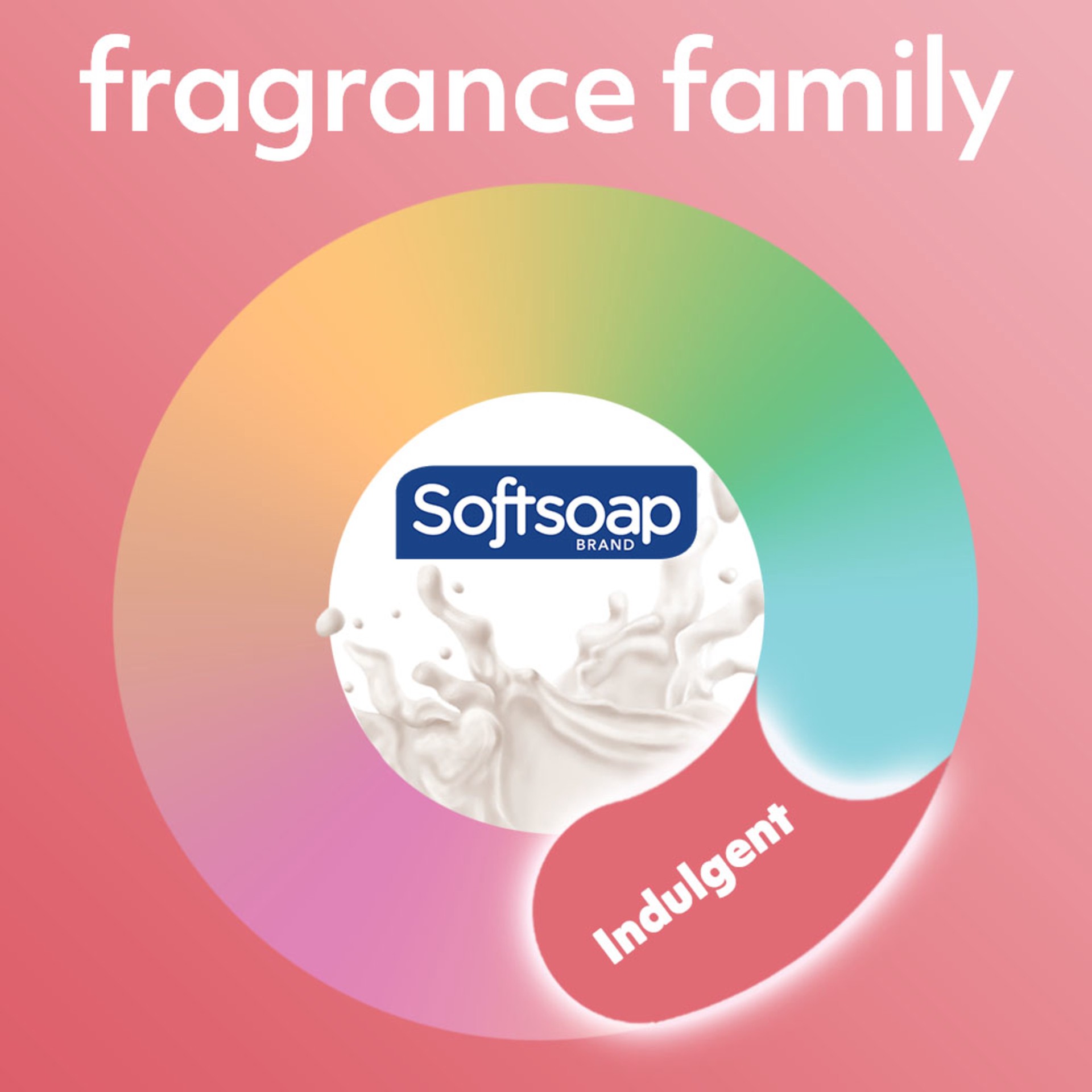 slide 4 of 10, Softsoap Moisturizing Liquid Hand Soap Refill - Milk & Honey - 50 fl oz, 50 fl oz