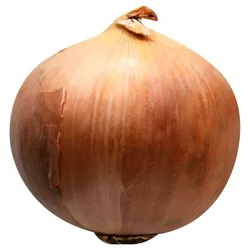 Yellow Onions